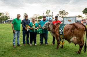 Vaca japonesa é grande campeã