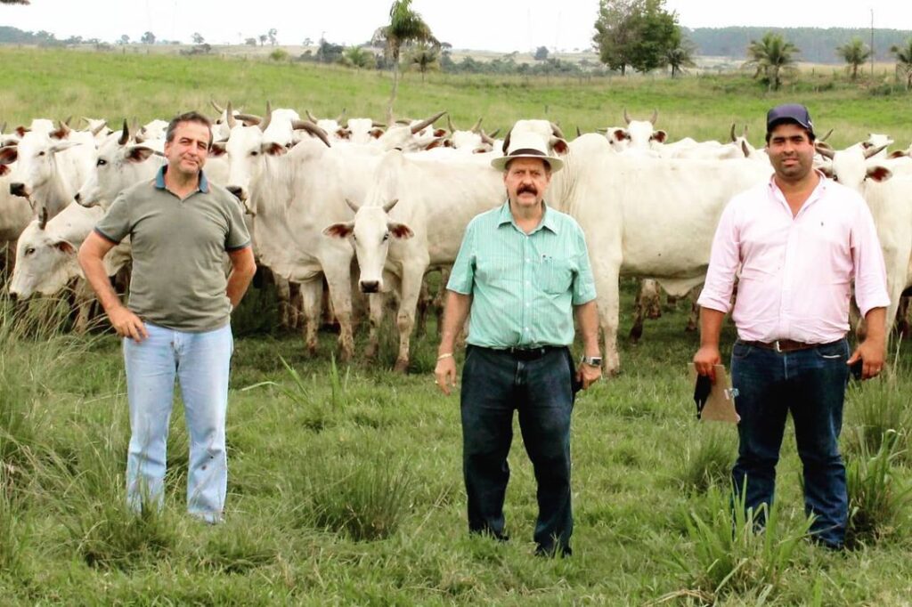 Girolando, a raça que mudou o cenário da produção de leite