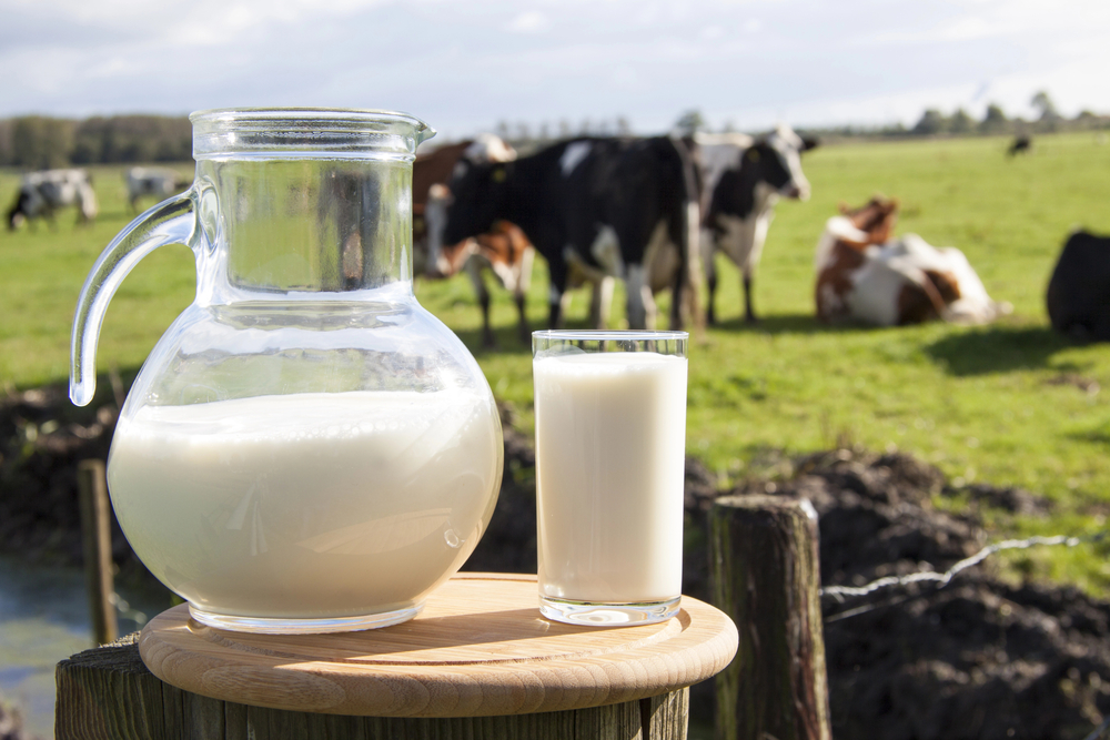 Tirso Meirelles pede ao governador ação urgente para resguardar produtores de leite