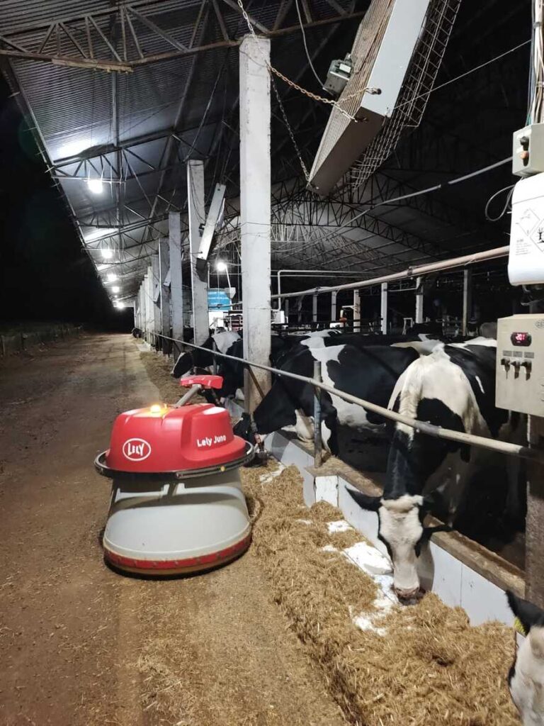 Com menos trabalhadores no campo, tecnologia e gestão vêm garantindo a produção leiteira