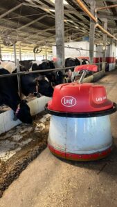 Empurrador automático de alimento ganha espaço em fazendas produtoras de leite