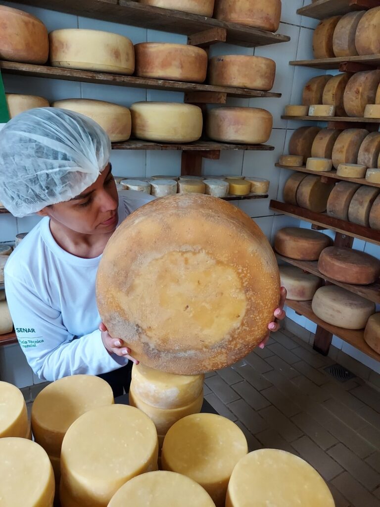 Seminário Técnico dos Queijos Artesanais de Minas