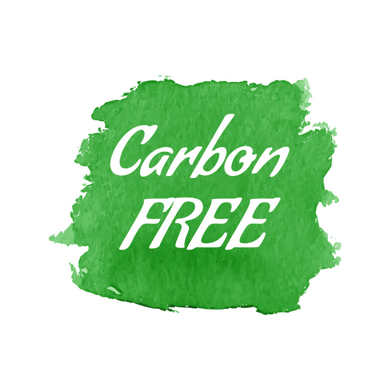 Projeto Carbon Free: Em parceria com o SINDILAT/RS, aula da Academia Jovens Produtores de Leite Cotribá destaca importância do bem-estar animal para melhoria da produção leiteira