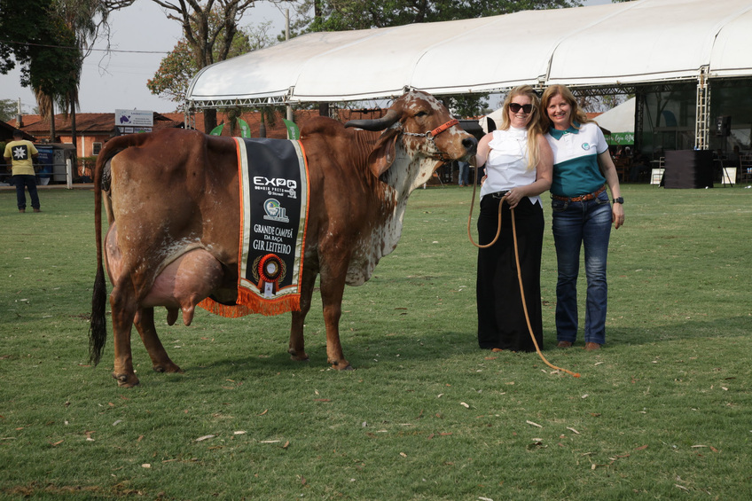 Vaca avaliada em mais de R$ 1 milhão na Expo Rio Preto SICREDI é a Grande Campeã