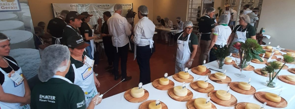 Temporada de concursos de queijos artesanais movimenta cidades mineiras