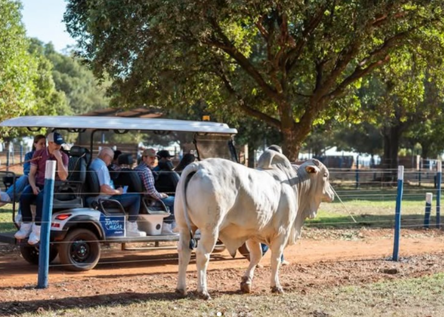 Alta abre as portas da sua Central durante ExpoGenética 2025