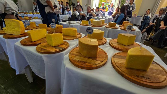 Concurso Estadual dos Queijos Artesanais entra na fase de soma das notas dos finalistas