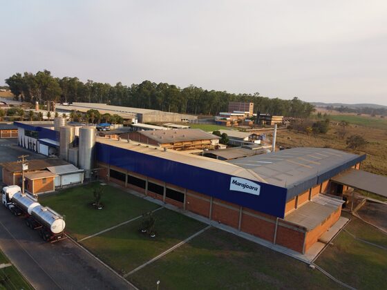 Leite sem lactose é nutritivo?