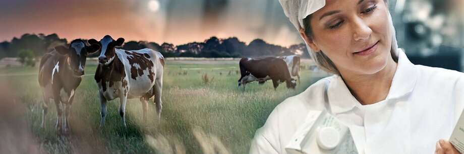 Setor lácteo em 2026 para o alto e avante