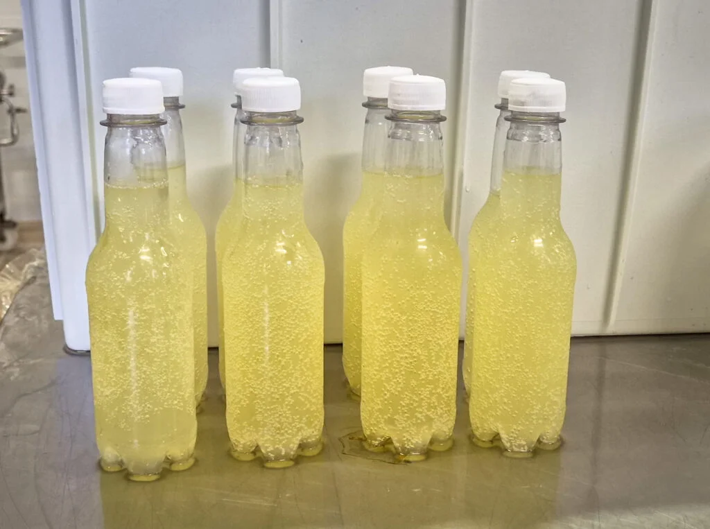 Bebida inovadora à base de soro do leite passa por etapas de validação