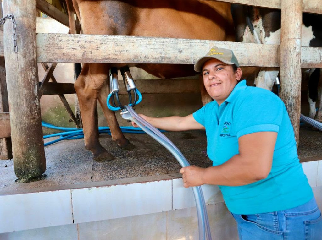 Dia Internacional da Mulher Produtoras representam 43,2% dos acessos a crédito rural em SP