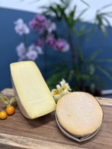 Paraná garante bicampeonato de Melhor Queijeiro e pódio no Mundial do Queijo 2026