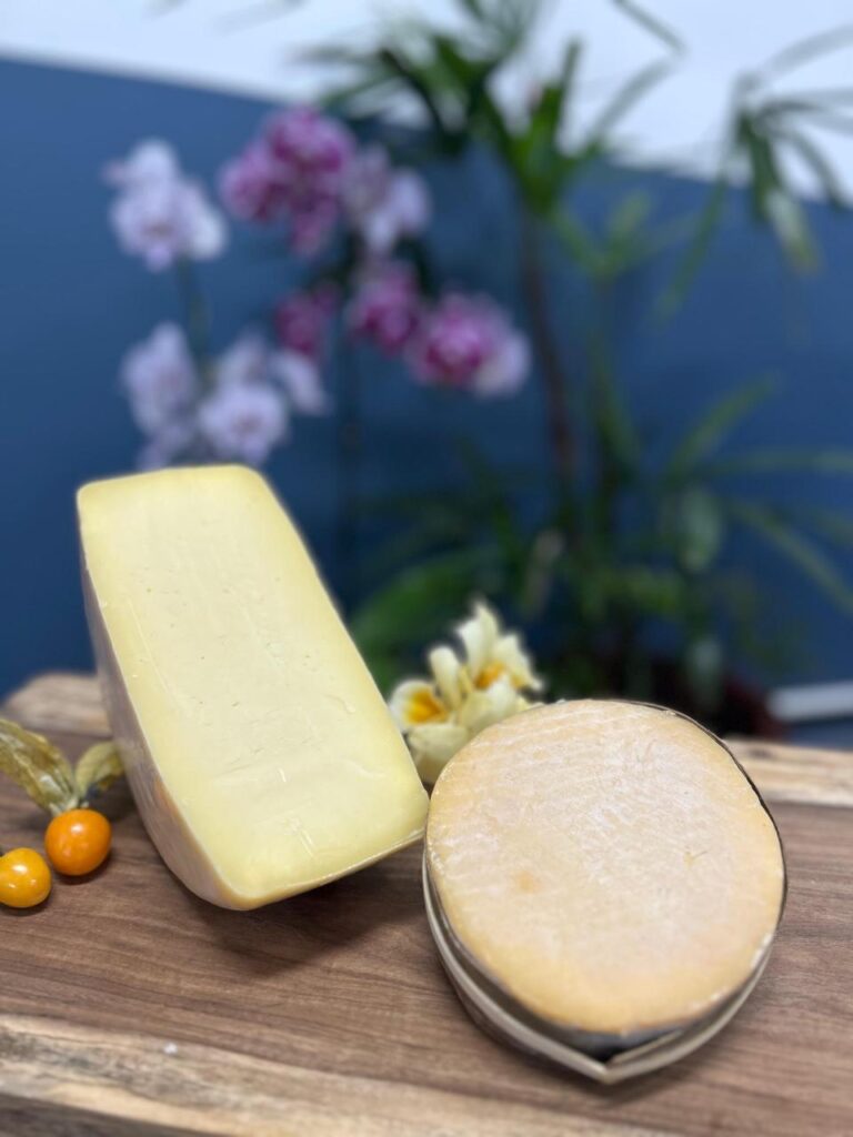 Paraná garante bicampeonato de Melhor Queijeiro e pódio no Mundial do Queijo 2026