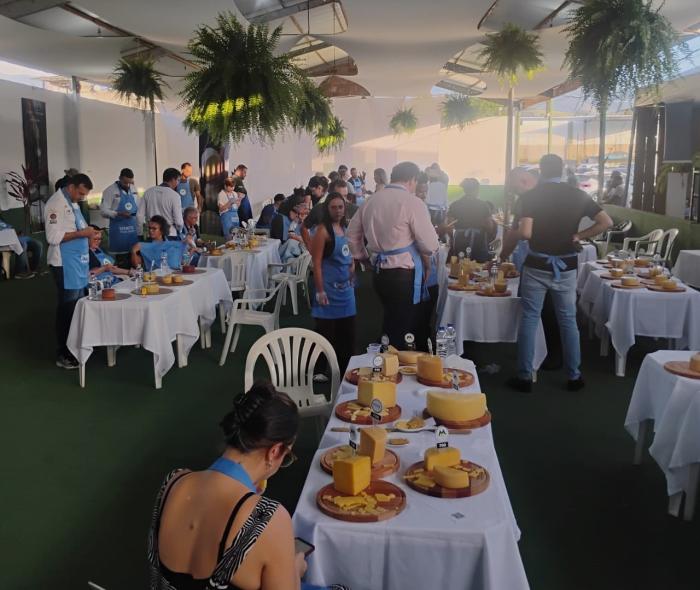 Concurso Regional de Queijo Artesanal Mantiqueira de Minas tem disputa de 122 queijos