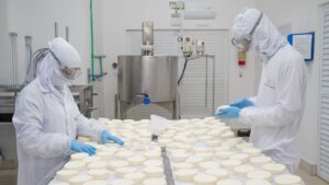 10 curiosidades surpreendentes sobre o alimento mais versátil do mundo