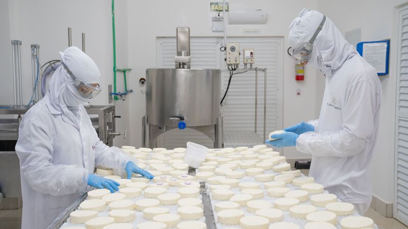 10 curiosidades surpreendentes sobre o alimento mais versátil do mundo