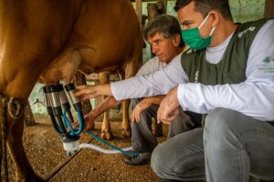 CNA destaca transformação estrutural e avanço de produtividade no leite brasileiro