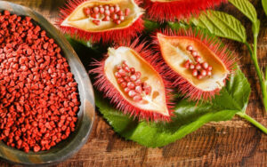 Colorau além do tempero conheça a planta brasileira mais usada pela indústria para dar cor aos alimentos