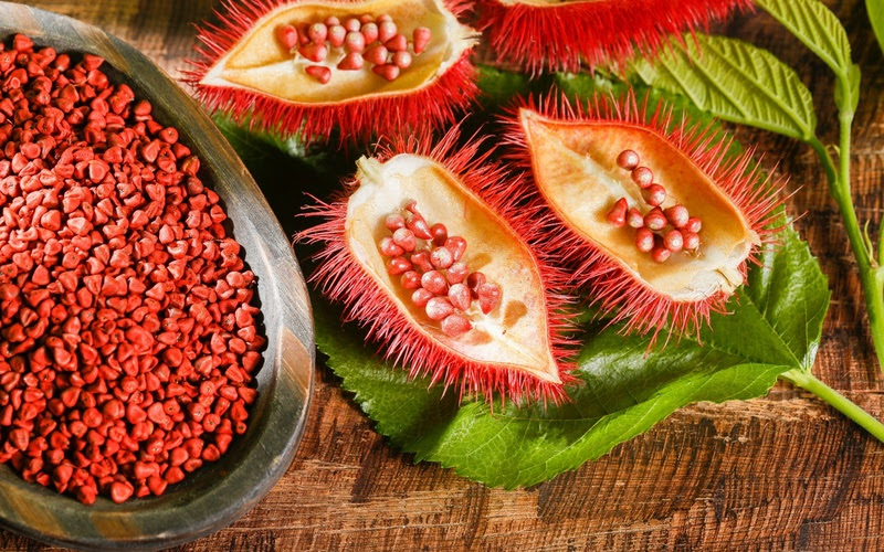Colorau além do tempero conheça a planta brasileira mais usada pela indústria para dar cor aos alimentos