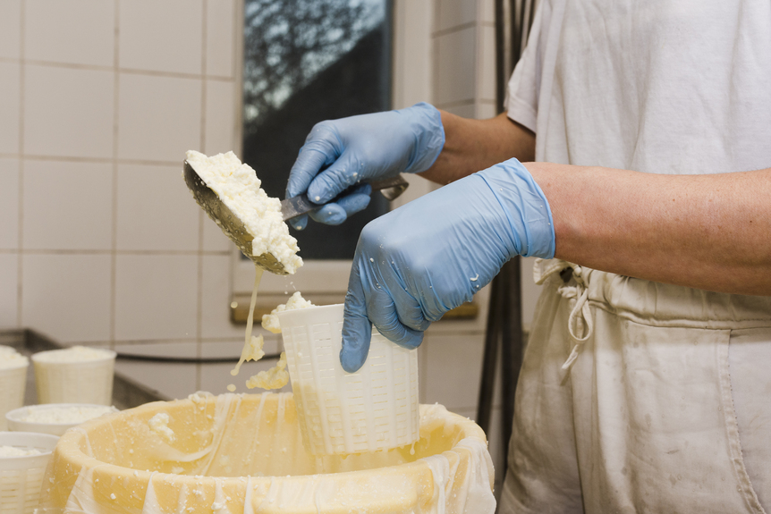 Tecnologia permite produzir até 5,3 mais queijo com o mesmo volume de leite